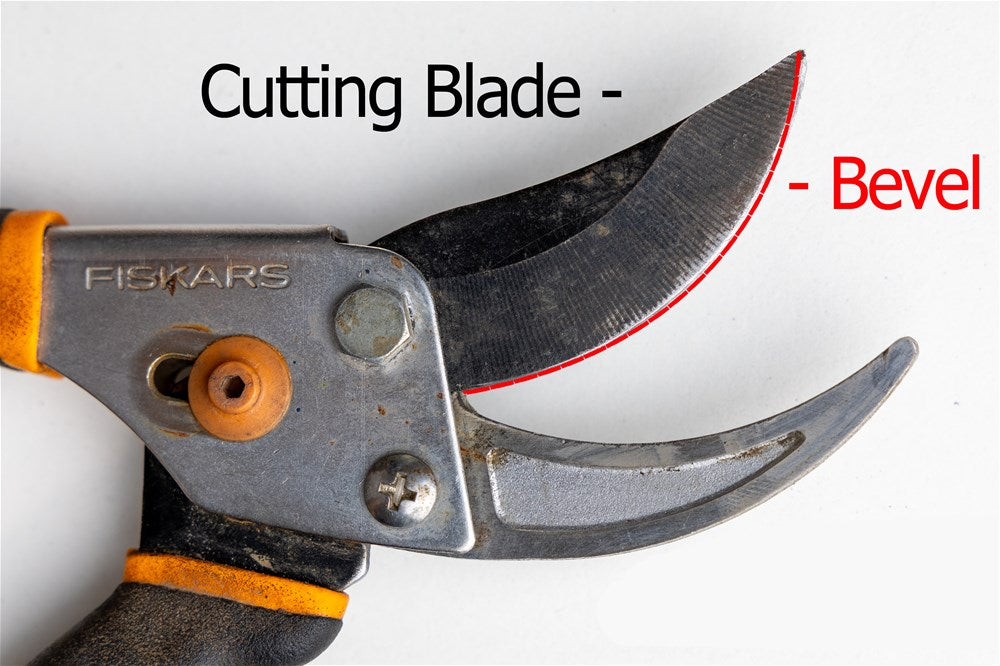 A labelled diagram of bypass pruners showing which is the cutting blade and where the bevel that needs sharpening is.
