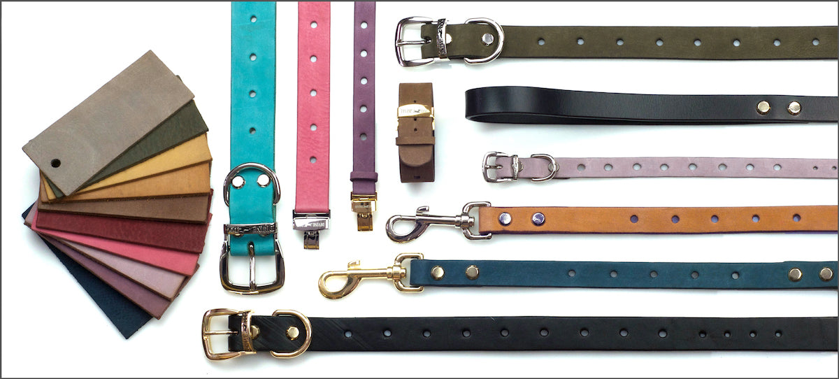 Divine Dog Stud Ready Leather Collars Leashes and Bracelets