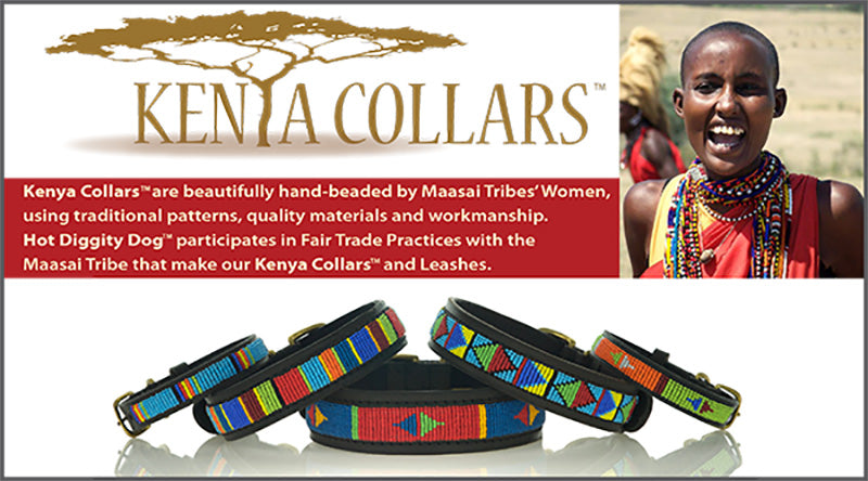 Kenya Dog Collars and Leashes Image 800 X 444px