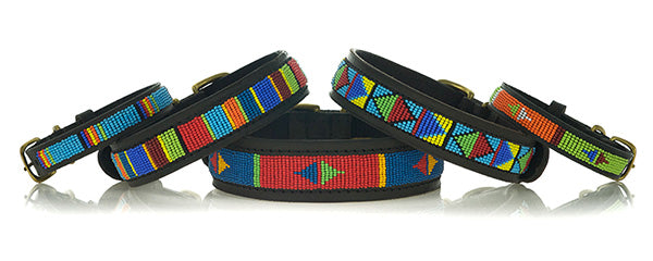 Kenya Collars and Leashes Image 600 X 240px