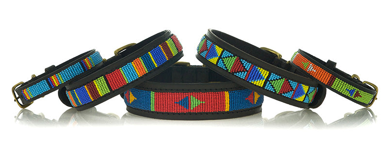 Kenya Collars and Leashes Images 800 X 320px