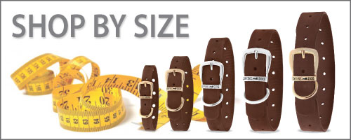 Divine Dog Stud Ready Collar Shop by Size