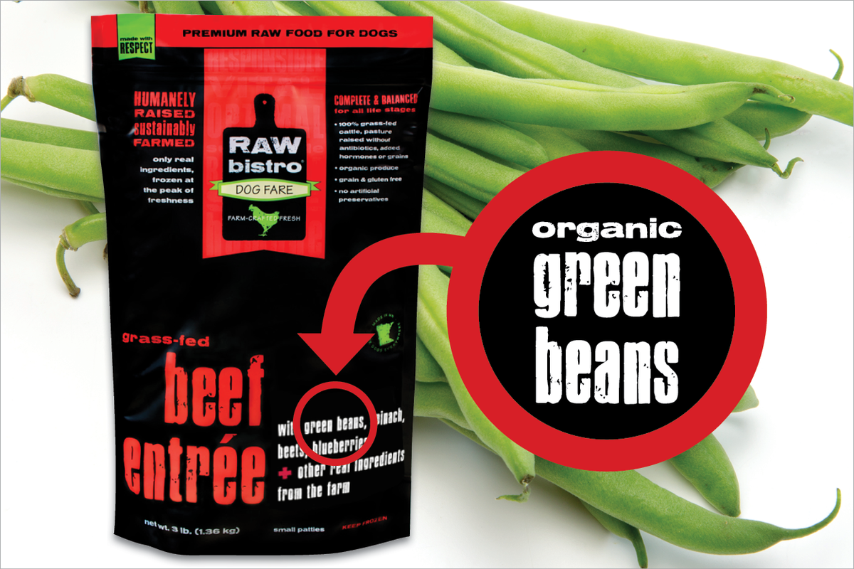 are frozen green beans safe for dogs