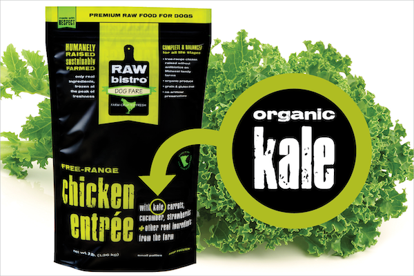 Can dogs eat kale?
