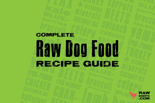 raw dog food recipes complete guide