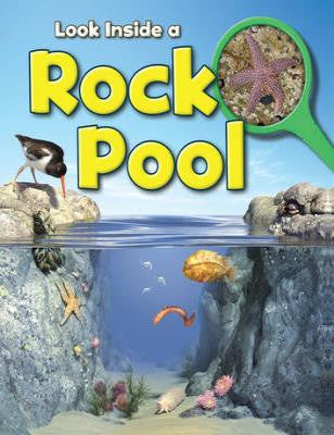 Look Inside: A Rock Pool