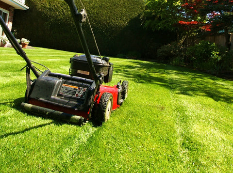 swisher lawnmower clutch