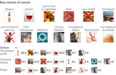 Best cancer prevention