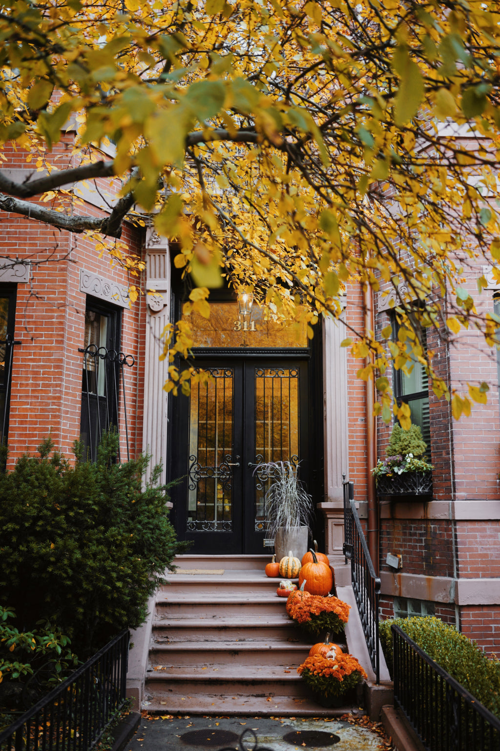 Beacon and Back Bay Fall Stoop