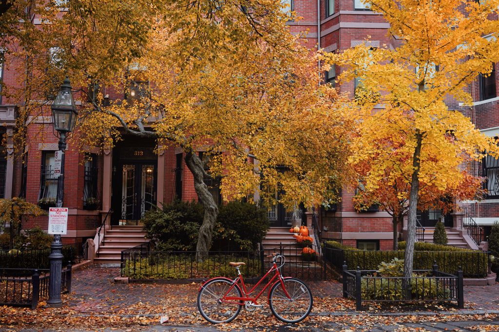 Back Bay and Beacon in Fall