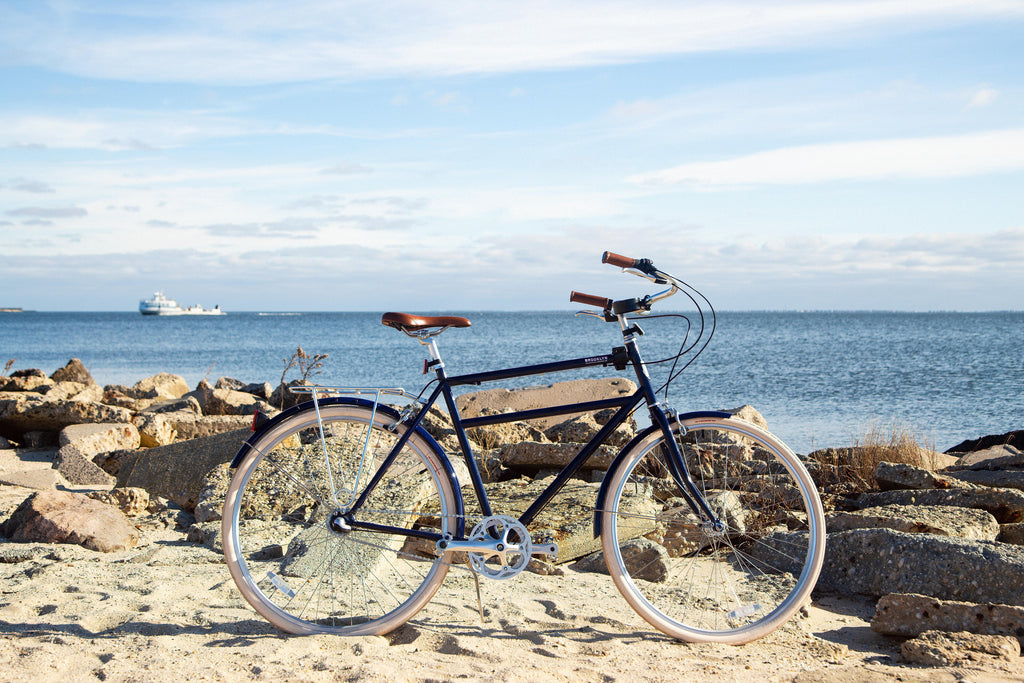 Brooklyn Bicycle Co. Driggs 3 Cruiser Bike Bay Shore Long Island
