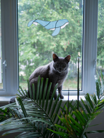 Stained Glass Whale + Dewey the Cat