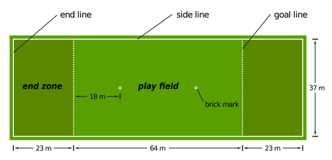 an image of frisbee play field design