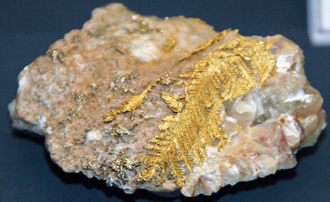 Dendritic crystalline gold (Hope's Nose, Devon, England) 