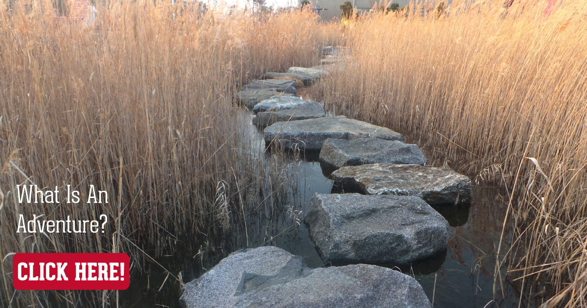 Stepping Stones Call To Action