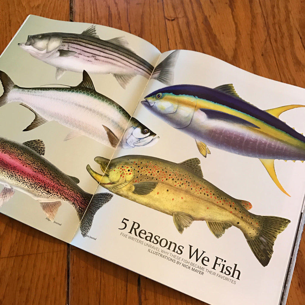 Spring Anglers Journal Magazine