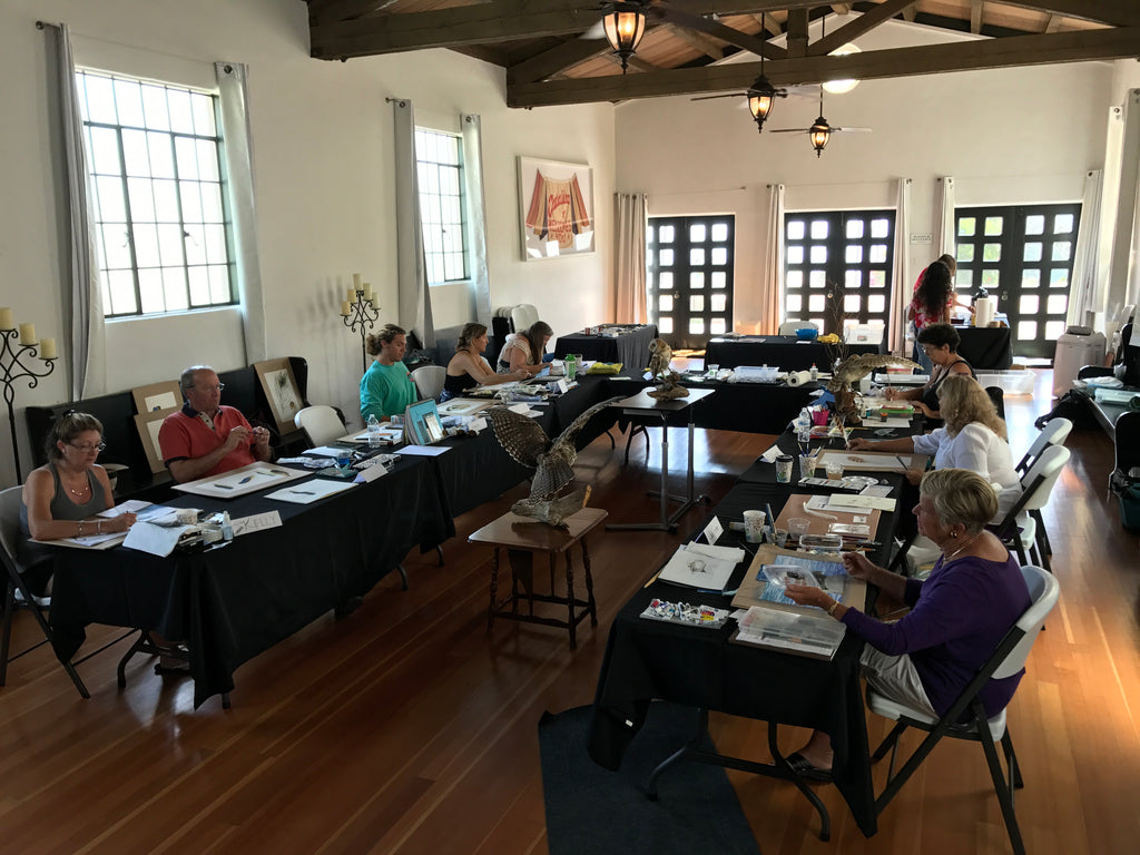 Nick Mayer Art Workshop Focus on Feathers Catalina Island Fish Art