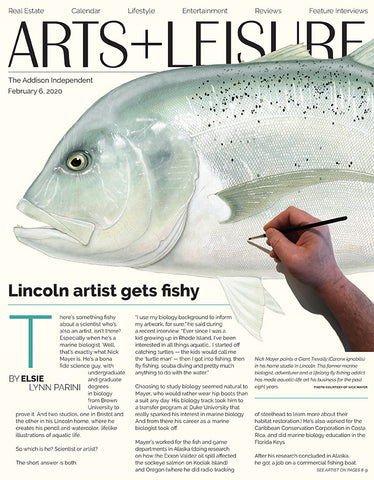 Cover_Article_Nick_mayer_fish_art