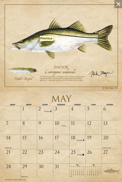 snook calendar