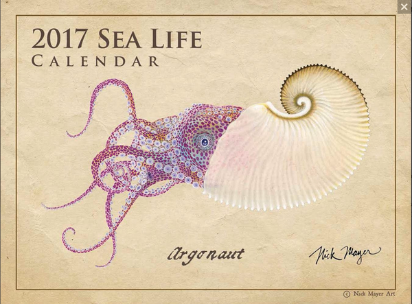 nautilus calendar