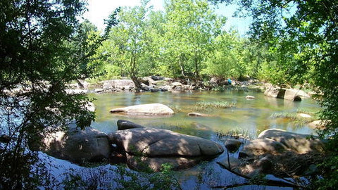 Pony Pasture Richmond, VA