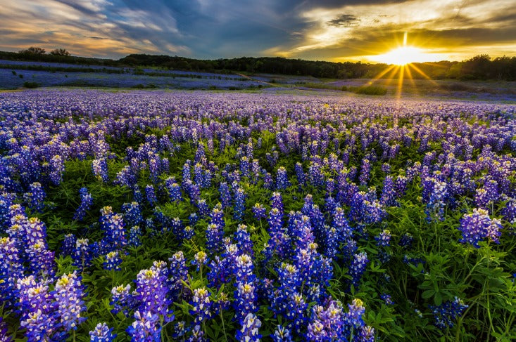 scattering ashes Texas