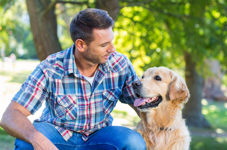 pet cremation urns