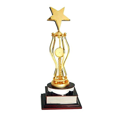 Golden Moment Group Wooden Superior Quality Trophy (16")