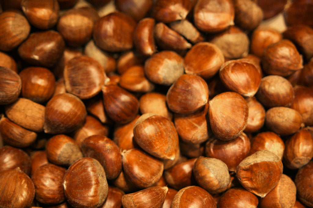 chesnuts roots fruits 