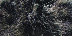 Faux Fur Pom Pom Black Mink 1/Pkg