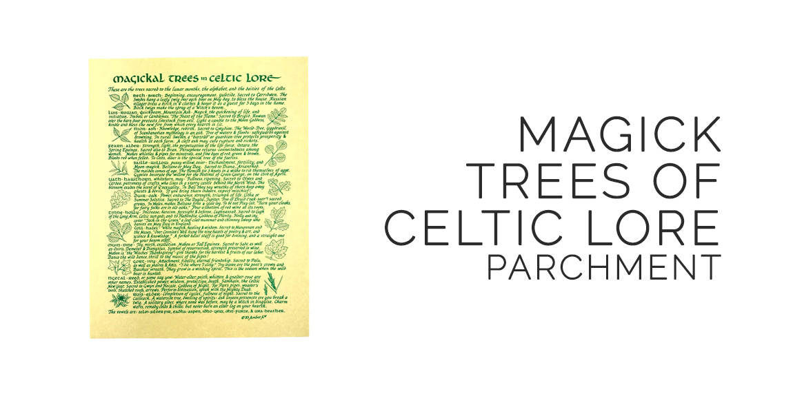 Celtic Tree Magick and Lore Parchment - Sabbat Box