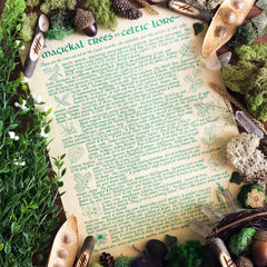 Celtic Trees Parchment - Magickal Trees in Celtic Lore - 2018 Beltane Sabbat Box