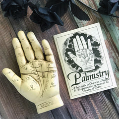 Palmistry Hand Statue With Info Booklet