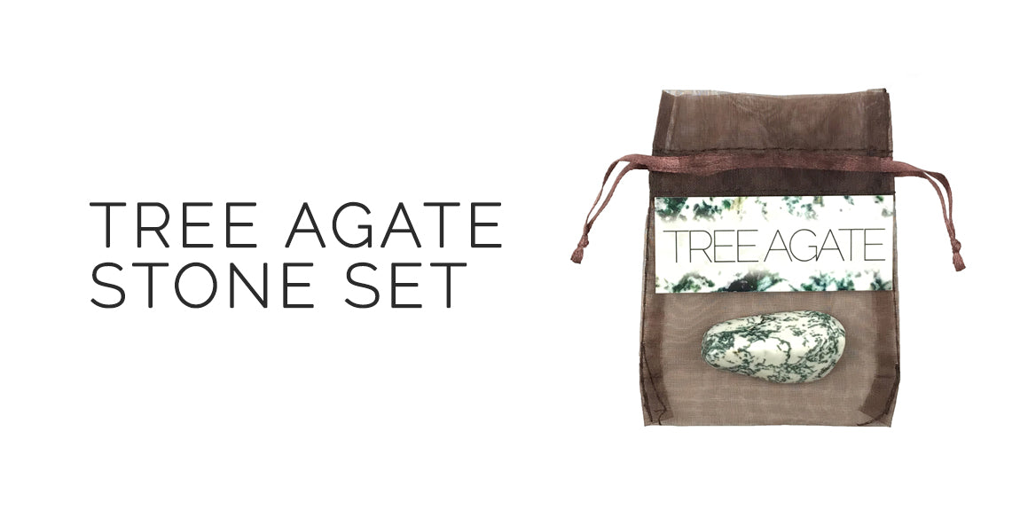 Tree Agate Stone Set By Sabbat Box 