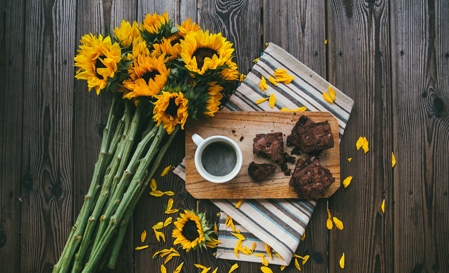 sunflower-meaning-flatlay-feature-01