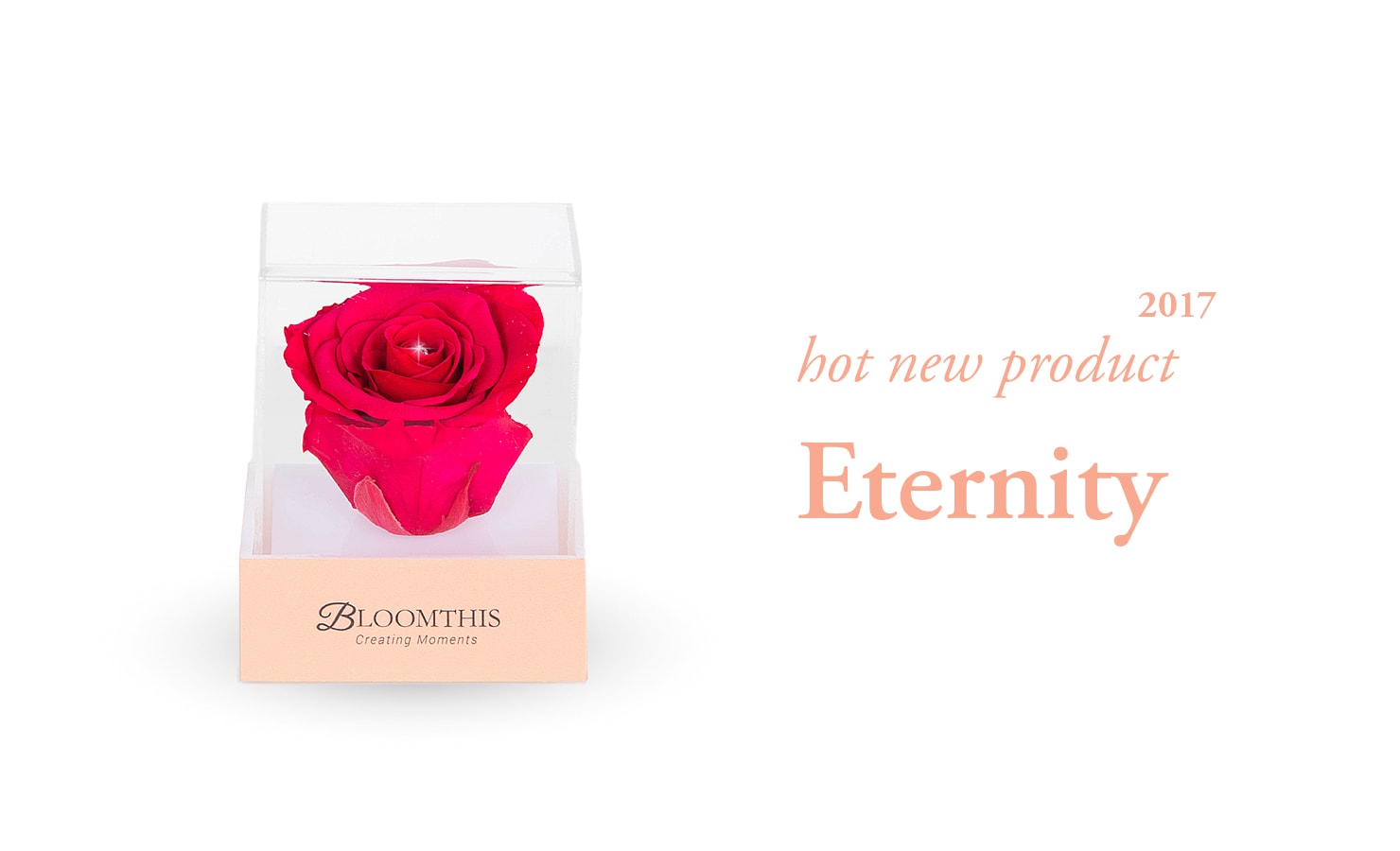 04-hot-new-product-eternity