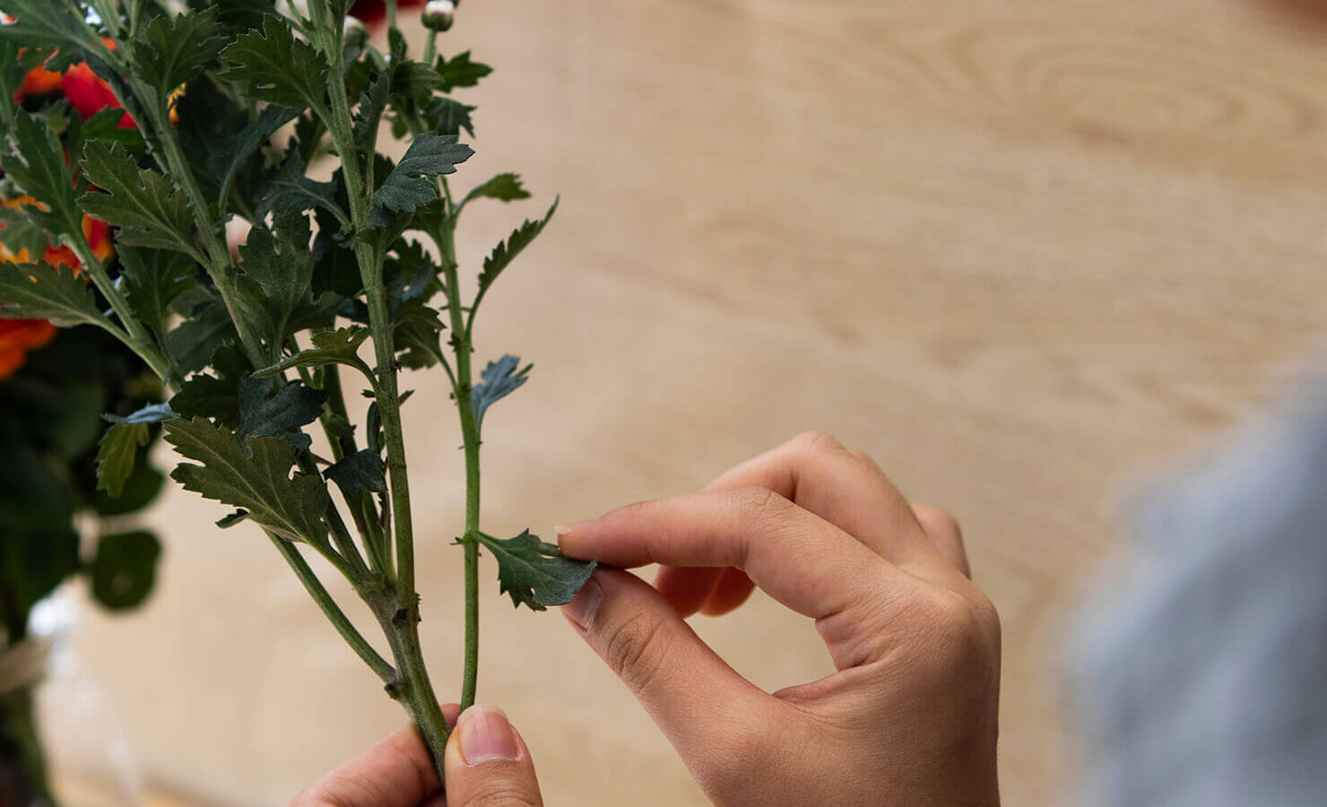 diy-dry-flower-bouquet-remove-foliage