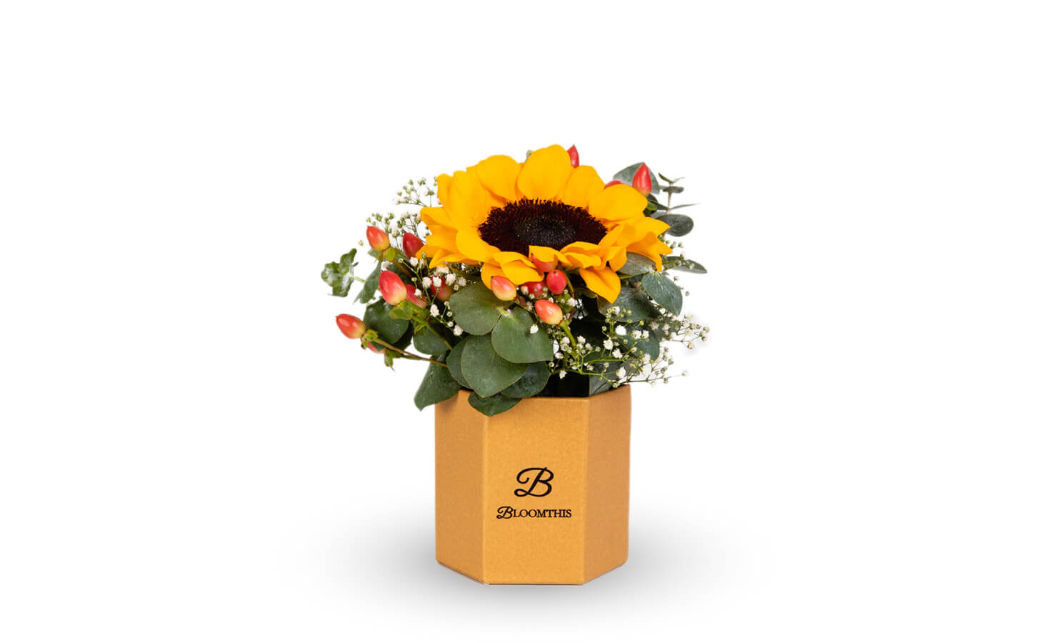 bloomthis-sunflower-products-tinkerbell