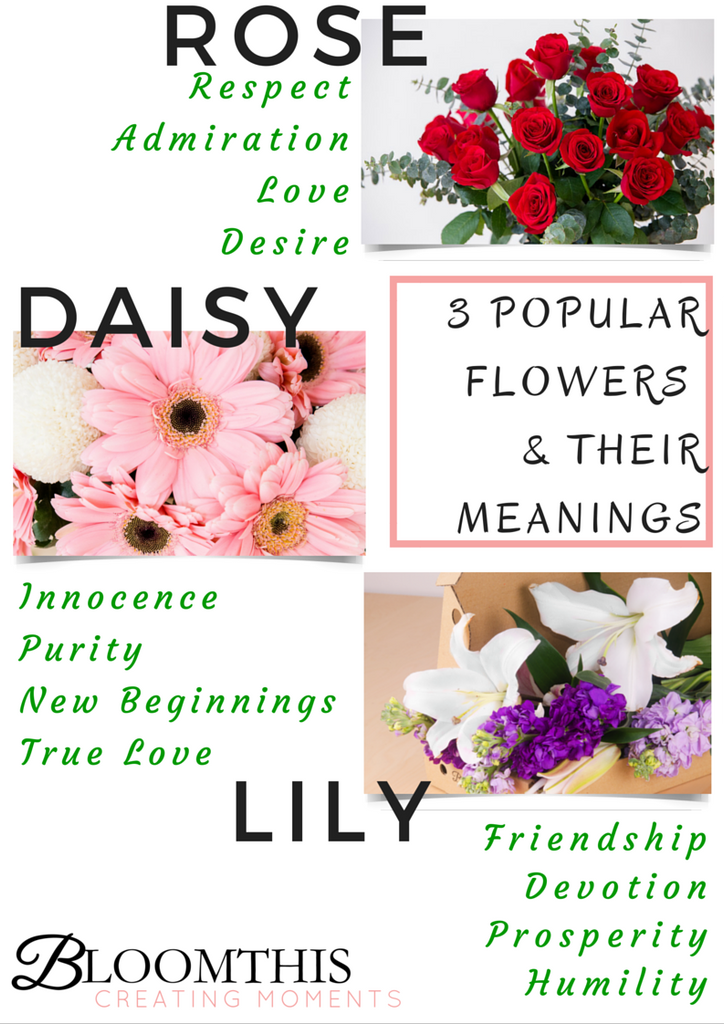 4_Popular_Flowers_Their_Meanings_1_1024x