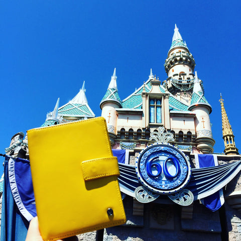 Up & Away passport holder in Disneyland