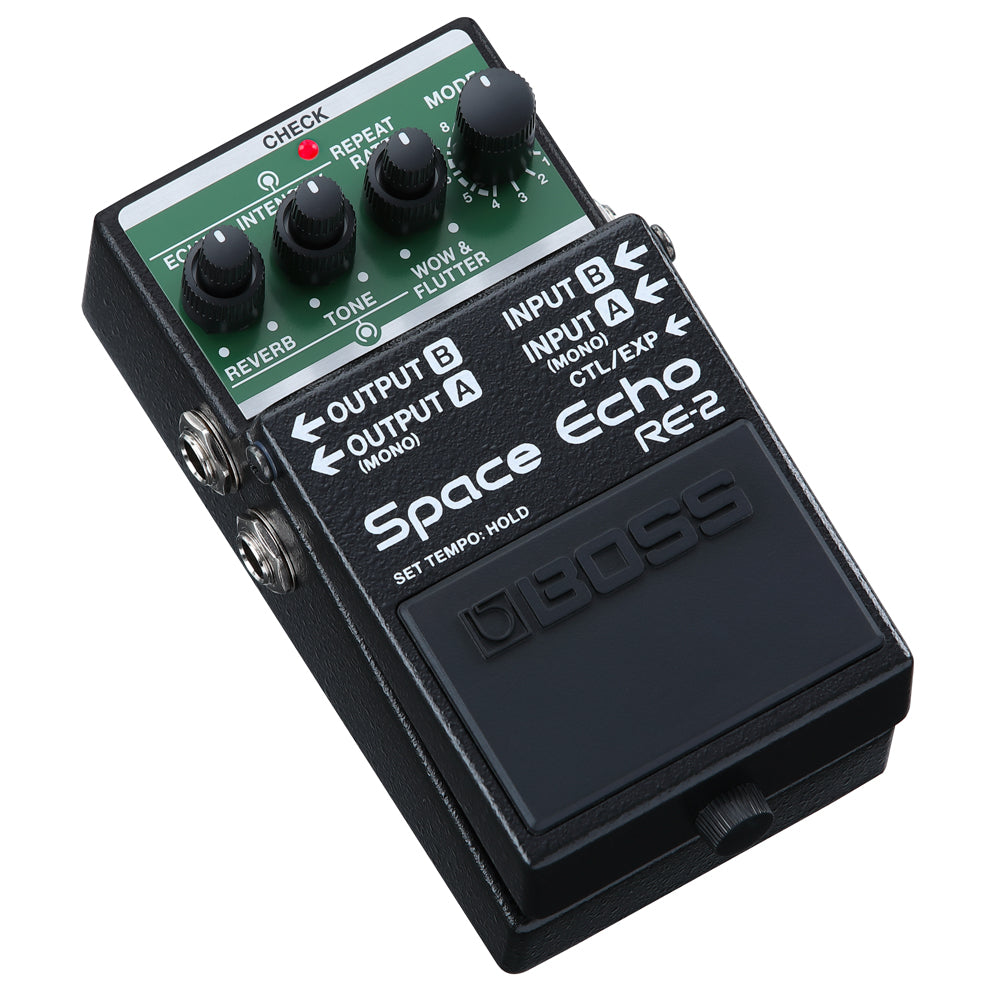 space echo pedal