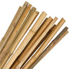 Bamboo Canes 5ft (150cm)
