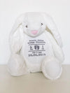 Personalised Birth Announcement Soft Toy