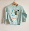 Personalised Embroidered Turtle Sweatshirt