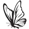 Custom Greek merchandise Greek butterfly design engraved wood