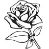 Rose Flower Design engraved wood Custom Greek merchandise 