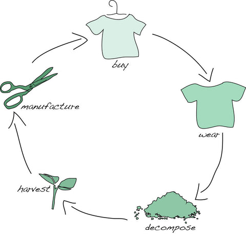 clothing fashion lifecycle cradle to cradle biodegradable