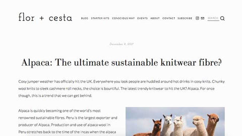 ethical sustainable fashion blog