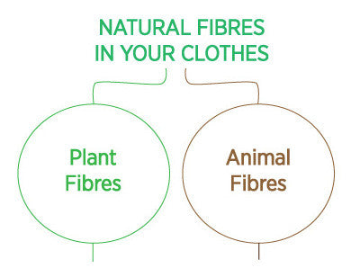 Natural fibres clothing animal plant