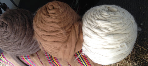 alpaca fibre tops sustainability peru moda